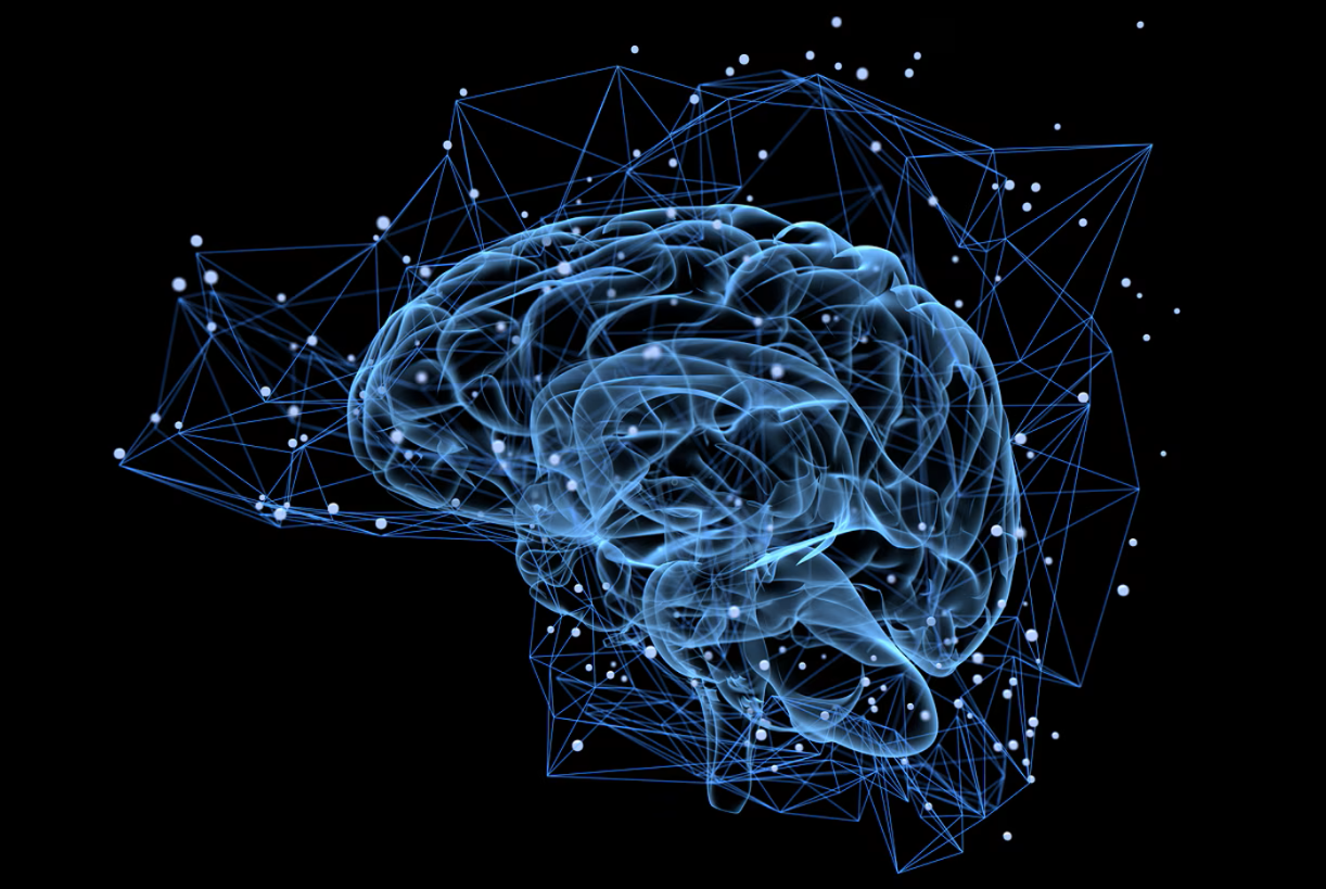 Webinar: Arte digital, IA y neurociencia: Haciendo tangibles nuestras emociones